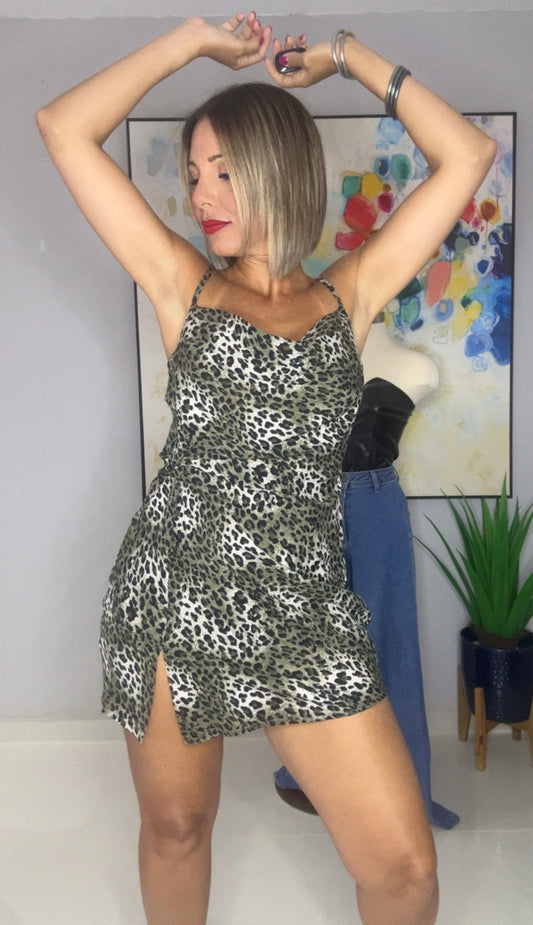 Leslie Animal Print Mini Dress